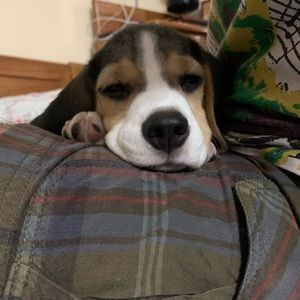 Meet your Posher, Ujjwal